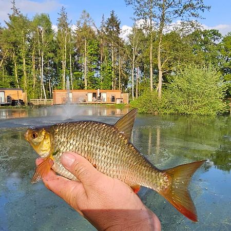 יורק Cedar Boutique Lodge-Dog Fishing And Spa Access מראה חיצוני תמונה