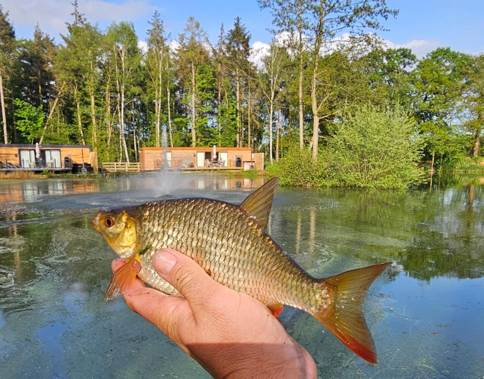 יורק Cedar Boutique Lodge-Dog Fishing And Spa Access מראה חיצוני תמונה